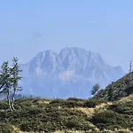 Freddys Gaestehaus