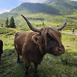Freddys Gaestehaus Daire Dellach (Hermagor)