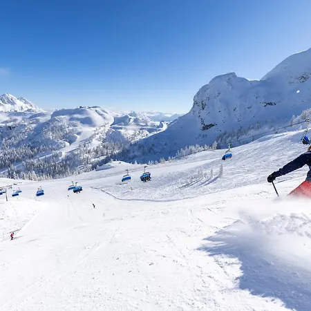 Freddys Gaestehaus *