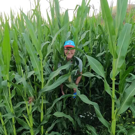 Freddys Gaestehaus Apartmán