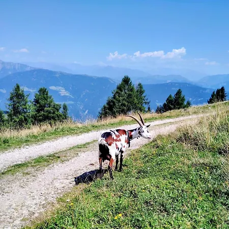 Freddys Gaestehaus Daire Dellach (Hermagor)