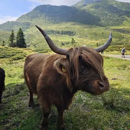 Freddys Gaestehaus Apartmán Dellach (Hermagor)