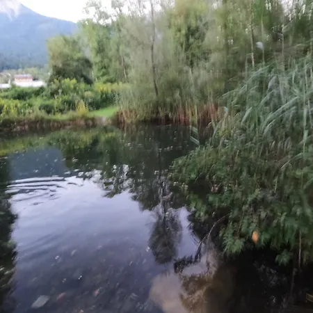 Freddys Gaestehaus Dellach (Hermagor)