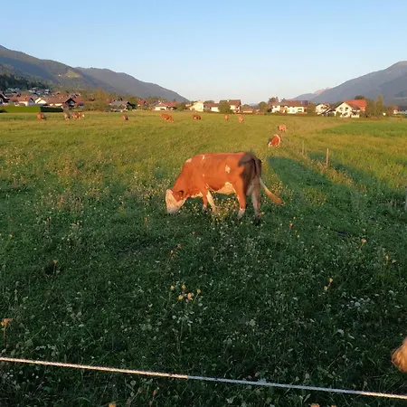 Freddys Gaestehaus Apartmán *