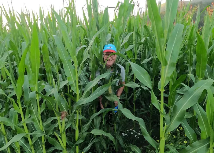 Freddys Gaestehaus Lejlighed