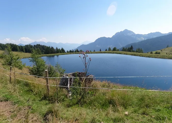 Freddys Gaestehaus Dellach (Hermagor)