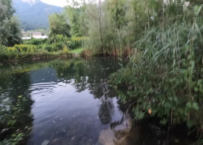 Freddys Gaestehaus Dellach (Hermagor)