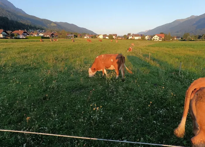 Freddys Gaestehaus Lejlighed *